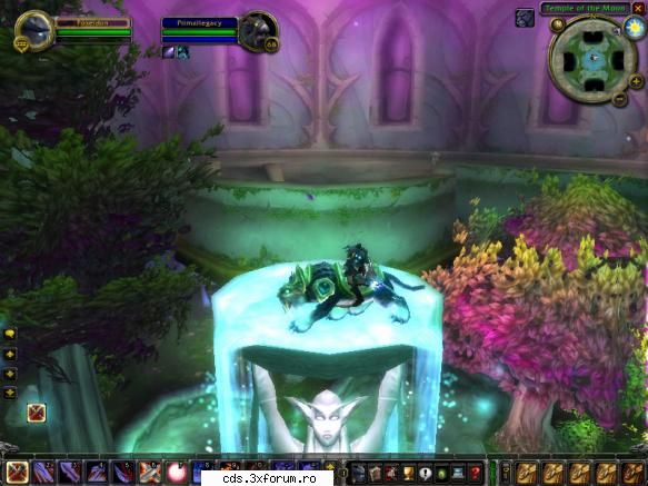 world warcraft world warcraft >